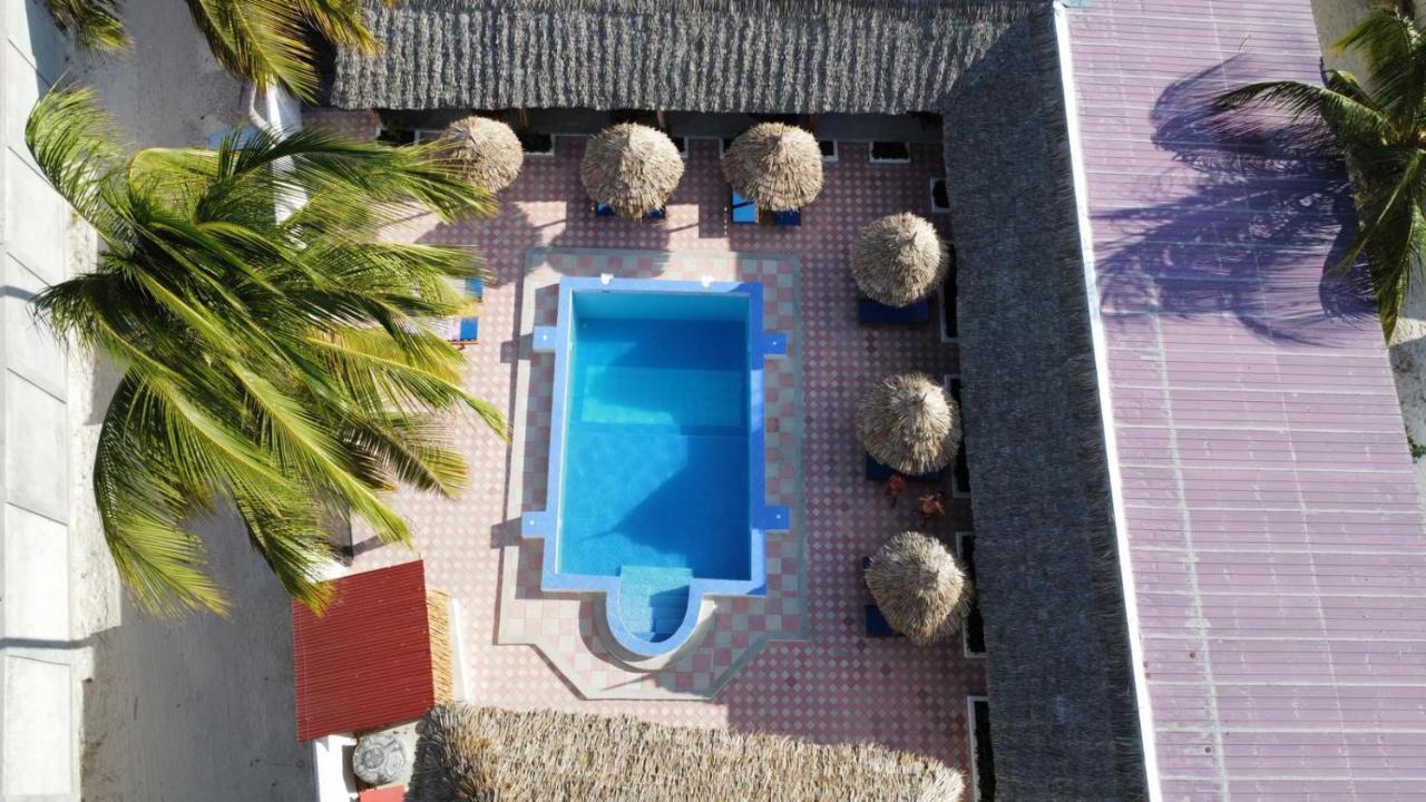 Amani Hotel Paje Buitenkant foto